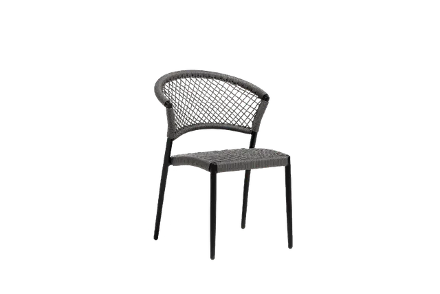 Ria Dining Side Chair