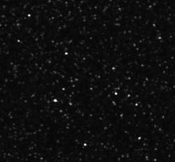 Porcelain Reflective — Metallic Midnight