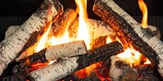 Birch Logs