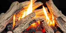 Driftwood Logs