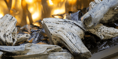 Driftwood Logs