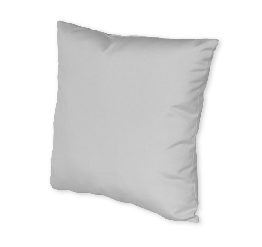 19x19 Square Throw Pillow — Reach Mist Fabric 1951 C