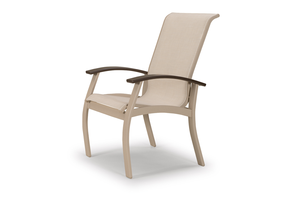 Arm Chair w/ Polymer Accents