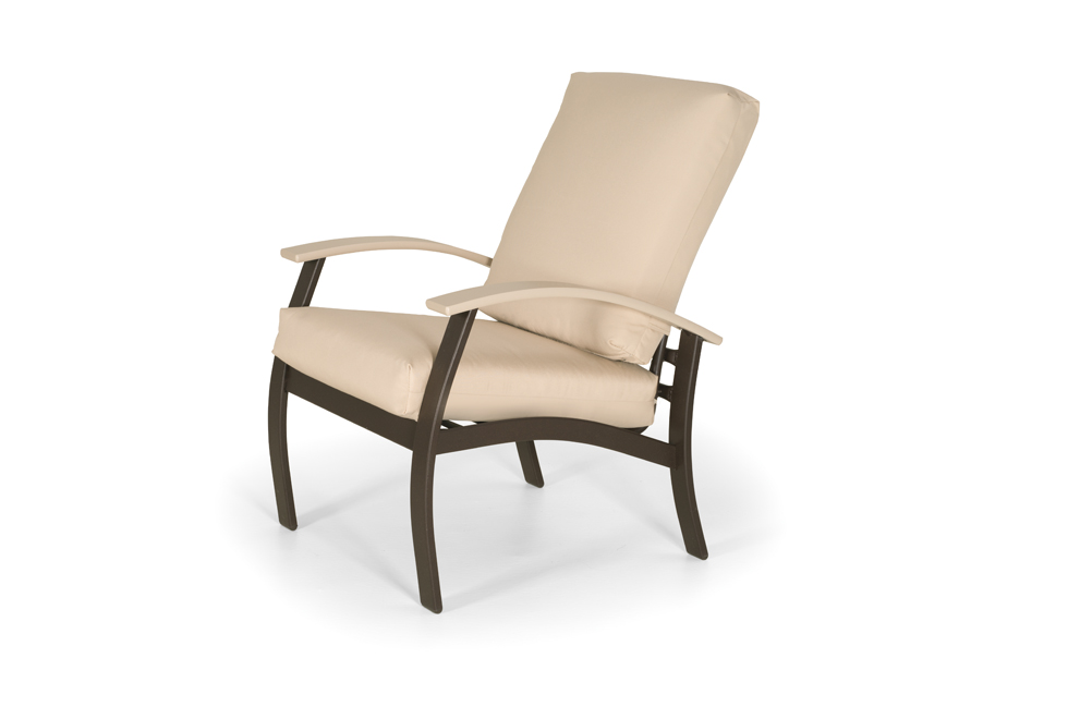 Arm Chair w/ Polymer Accents
