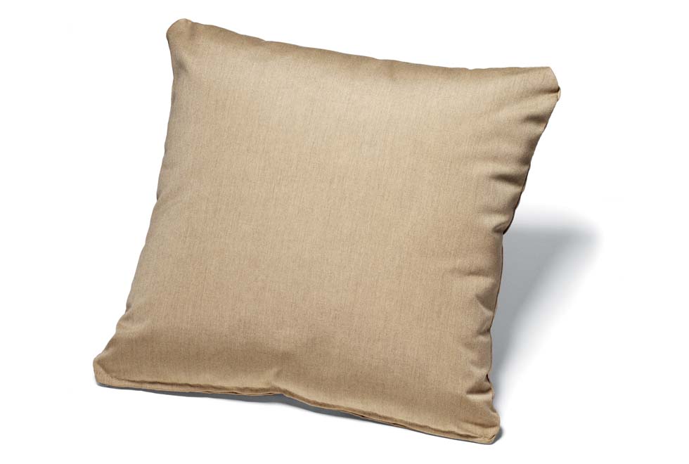 20" Throw Pillow