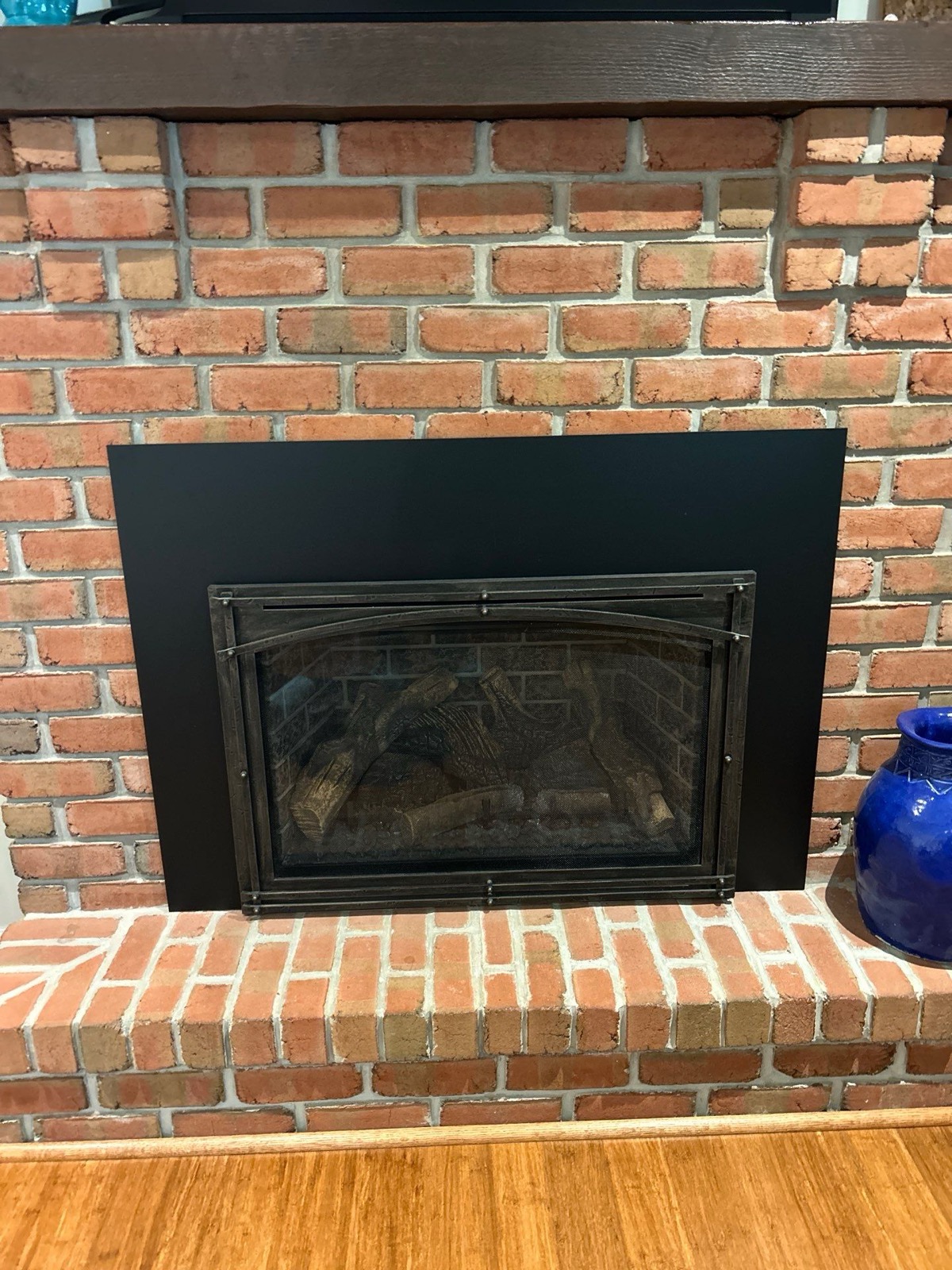 Kozy Heat Gas Insert