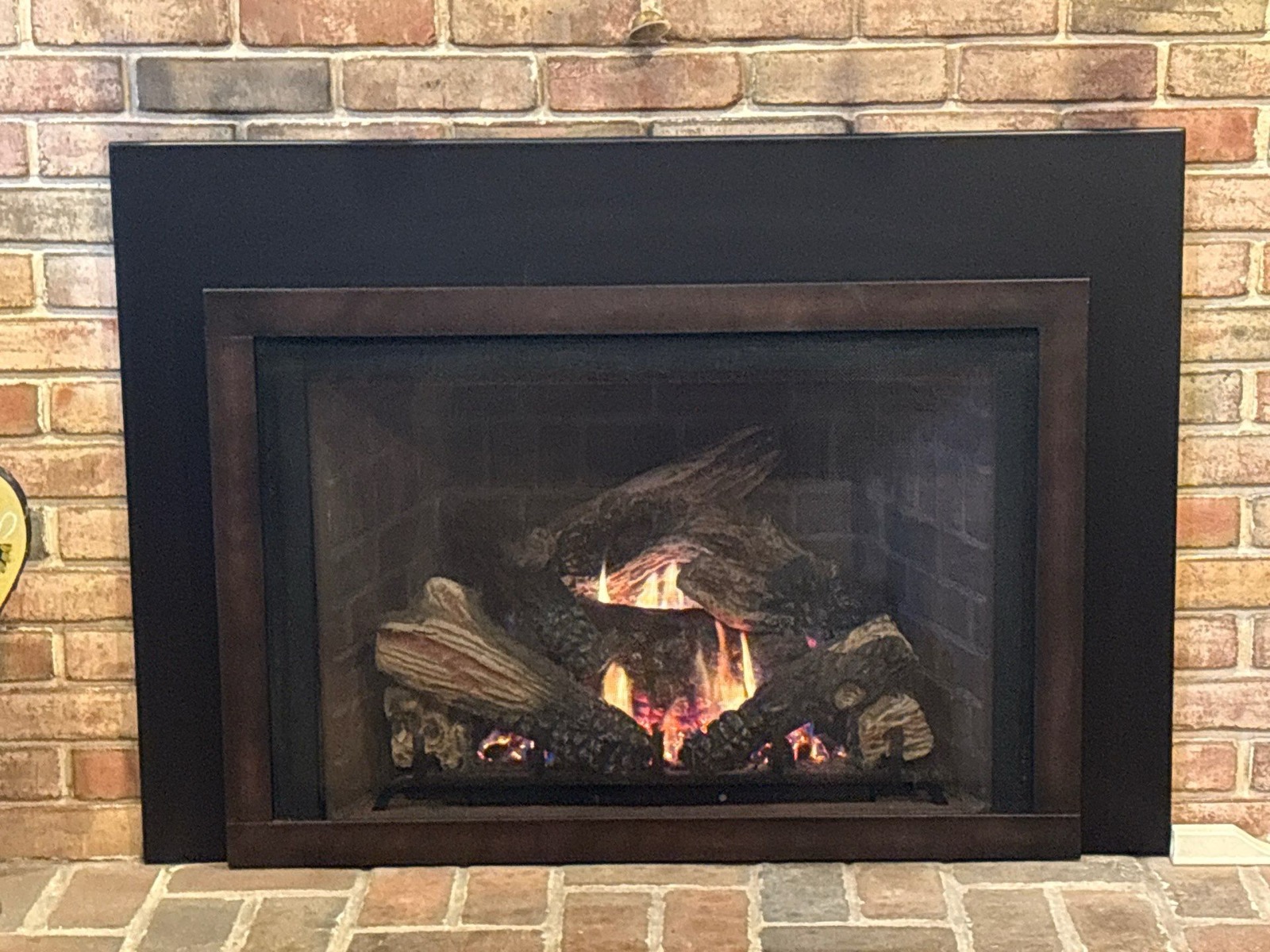 Mendota Gas Fireplace Insert