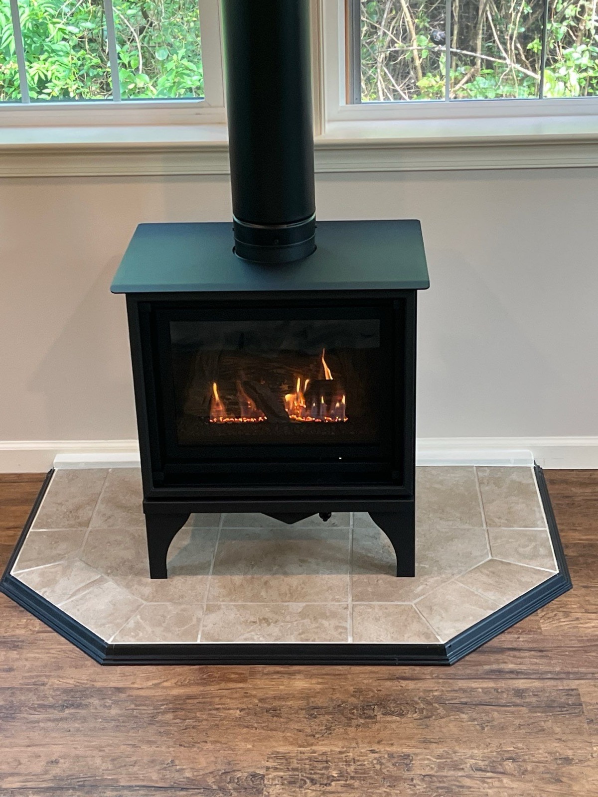 Kozy Heat Freestanding Gas Stove