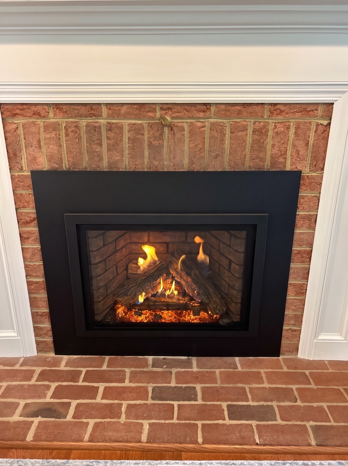 Kozy Heat Nordik 34i Gas Fireplace Insert