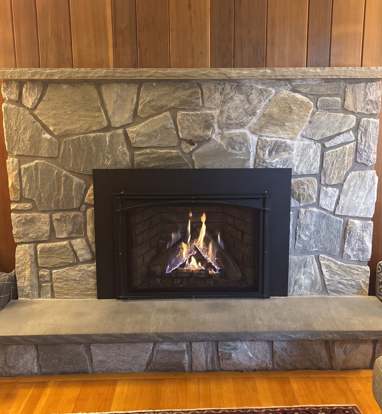 Kozy Heat Nordik 34i Gas Fireplace Insert