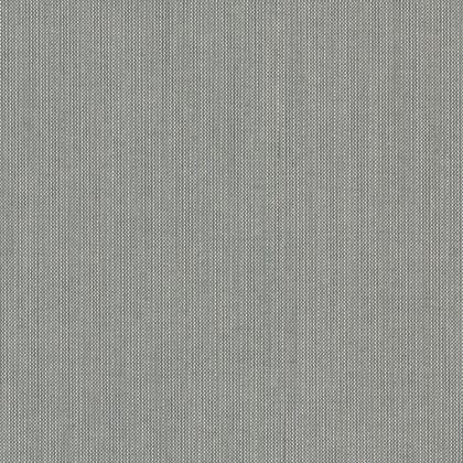 Spectrum Dove